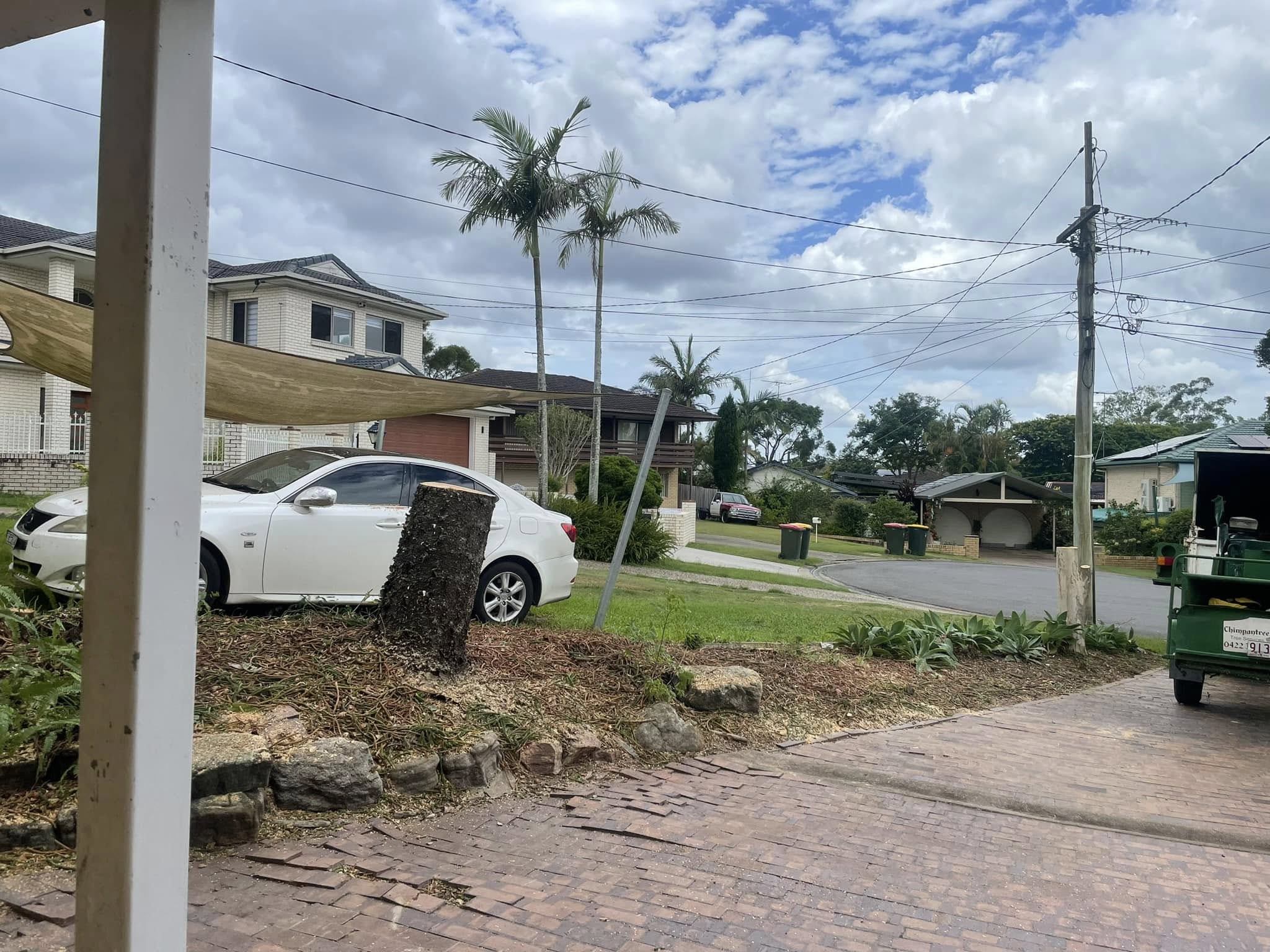 Stump grinding by Chimpantrees